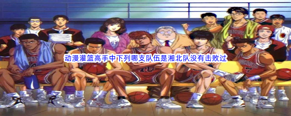 《哔哩哔哩》动漫灌篮高手中，下列哪支队伍是湘北队没有击败过的